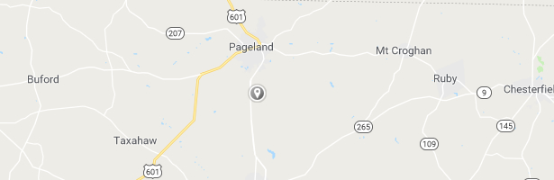 Google Map Pageland, SC